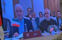 بریکس می‌تواند به الگویی برای ارتقای تاب‌آوری تبدیل شود